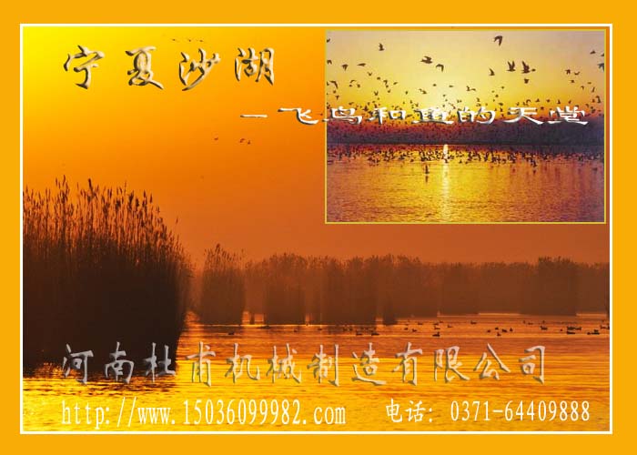 寧夏沙湖－飛鳥和魚的天堂